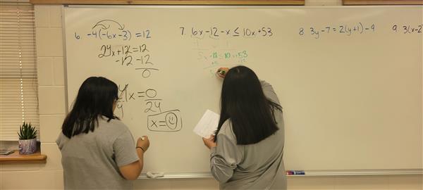 Working on Algebra 1 Homework